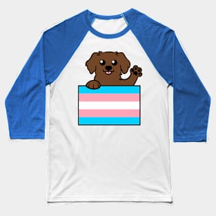 Love is Love Puppy - Brown Lab Trans Baseball T-Shirt